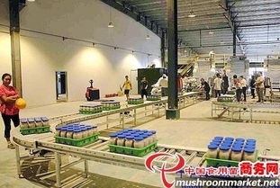 河北光明食品集團臨西縣食用菌工廠化建設項目圓滿竣工，助力現代農業發展